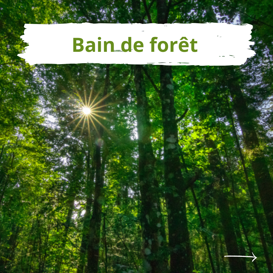 Bain de forêt